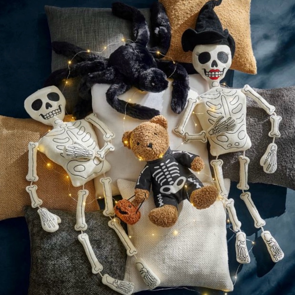Pottery Barn Mr & Mrs Bones Pillows